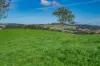 1431 Coramba Road, Dorrigo NSW 2453-Image
