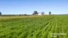 144 Verco Road, Langhorne Creek, SA 5255-Image
