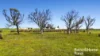 144 Verco Road, Langhorne Creek, SA 5255-Image