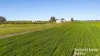 144 Verco Road, Langhorne Creek, SA 5255-Image