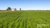 144 Verco Road, Langhorne Creek, SA 5255-Image