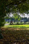 144A Riverview Road, Tinamba, Vic 3859-Image