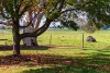 144A Riverview Road, Tinamba, Vic 3859-Image