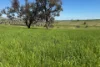 146 Timaru Road, Harden, NSW 2587-Image