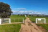 146 Timaru Road, Harden, NSW 2587-Image