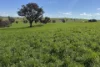 146 Timaru Road, Harden, NSW 2587-Image