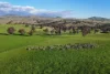 146 Timaru Road, Harden, NSW 2587-Image