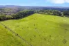 1460-1522 Anderleigh Road, Anderleigh, Qld 4570-Image
