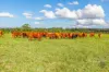 1460-1522 Anderleigh Road, Anderleigh, Qld 4570-Image