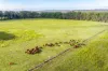 1460-1522 Anderleigh Road, Anderleigh, Qld 4570-Image
