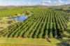 1460-1522 Anderleigh Road, Anderleigh, Qld 4570-Image