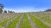146D Ancell Road, Mount Jagged, SA 5211-Image