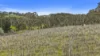 146D Ancell Road, Mount Jagged, SA 5211-Image