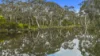 146D Ancell Road, Mount Jagged, SA 5211-Image