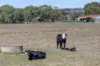 147 Blockers Road, Myponga, SA 5202-Image