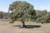 147 Blockers Road, Myponga, SA 5202-Image