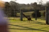 148 Mimi Creek Road, Firefly, NSW 2429-Image