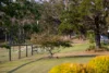 148 Mimi Creek Road, Firefly, NSW 2429-Image