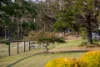 148 Mimi Creek Road, Firefly NSW 2429-Image