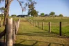 148 Mimi Creek Road, Firefly, NSW 2429-Image