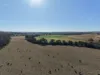 148 Voss Road, Monto, Qld 4630-Image