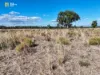 149 Henriendi Lane, Baan Baa, NSW 2390-Image