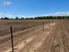 149 Henriendi Lane, Baan Baa, NSW 2390-Image