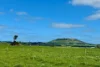 149 Wrights Road, Camperdown, Vic 3260-Image
