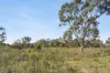 15 Casley Lane, Yandoit, Vic 3461-Image