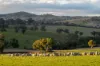 1507 Pine Mount Road, Woodstock, NSW 2793-Image