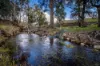 1507 Pine Mount Road, Woodstock, NSW 2793-Image