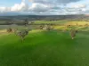 1507 Pine Mount Road, Woodstock, NSW 2793-Image