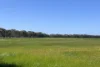 152 Mounsey Road, West Coolup, WA 6214-Image