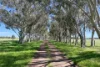152 Mounsey Road, West Coolup, WA 6214-Image