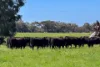 152 Mounsey Road, West Coolup, WA 6214-Image