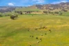 1550 Crudine Road, Crudine, NSW 2795-Image