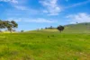 1550 Crudine Road, Crudine, NSW 2795-Image