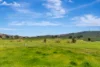 1550 Crudine Road, Crudine, NSW 2795-Image