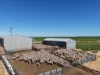 156 E Howes Road, Kaniva, Vic 3419-Image