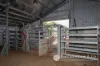 1578 Boonah Rathdowney Road, Coochin, Qld 4310-Image