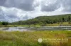 1578 Boonah Rathdowney Road, Coochin, Qld 4310-Image