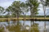 1578 Boonah Rathdowney Road, Coochin, Qld 4310-Image