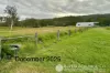 1578 Boonah Rathdowney Road, Coochin, Qld 4310-Image