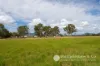 1578 Boonah Rathdowney Road, Coochin, Qld 4310-Image