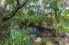 1578 Boonah Rathdowney Road, Coochin, Qld 4310-Image