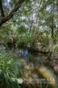 1578 Boonah Rathdowney Road, Coochin, Qld 4310-Image