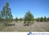 16083 Kamilaroi Highway, Baan Baa, NSW 2390-Image