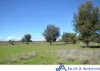 16083 Kamilaroi Highway, Baan Baa, NSW 2390-Image