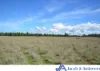 16083 Kamilaroi Highway, Baan Baa, NSW 2390-Image