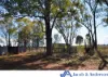16083 Kamilaroi Highway, Baan Baa, NSW 2390-Image